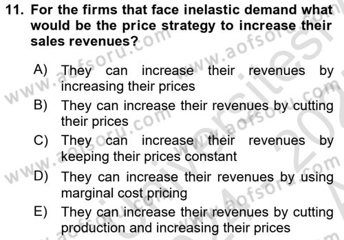 Introduction to Economics 1 Dersi Ara Sınavı Deneme Sınav Soruları 11. Soru