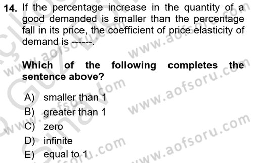 Introduction to Economics 1 Dersi 2024 - 2025 Yılı (Vize) Ara Sınav Soruları 14. Soru
