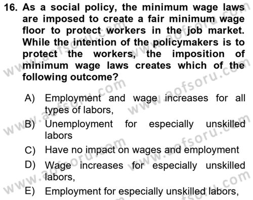Introduction to Economics 1 Dersi Ara Sınavı Deneme Sınav Soruları 16. Soru
