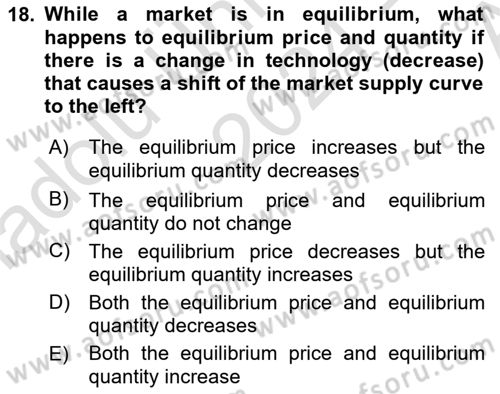 Introduction to Economics 1 Dersi Ara Sınavı Deneme Sınav Soruları 18. Soru