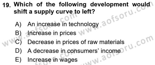 Introduction to Economics 1 Dersi 2024 - 2025 Yılı (Vize) Ara Sınav Soruları 19. Soru