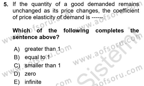 Introduction to Economics 1 Dersi 2024 - 2025 Yılı (Vize) Ara Sınav Soruları 5. Soru