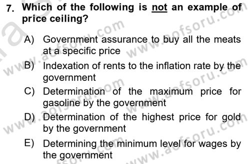 Introduction to Economics 1 Dersi Ara Sınavı Deneme Sınav Soruları 7. Soru