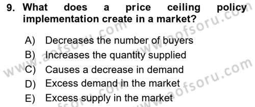 Introduction to Economics 1 Dersi Ara Sınavı Deneme Sınav Soruları 9. Soru