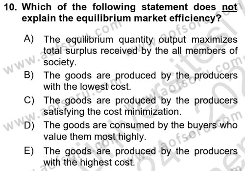 Introduction to Economics 1 Dersi 2024 - 2025 Yılı (Final) Dönem Sonu Sınav Soruları 10. Soru