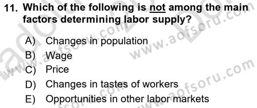 Introduction to Economics 1 Dersi 2024 - 2025 Yılı (Final) Dönem Sonu Sınav Soruları 11. Soru