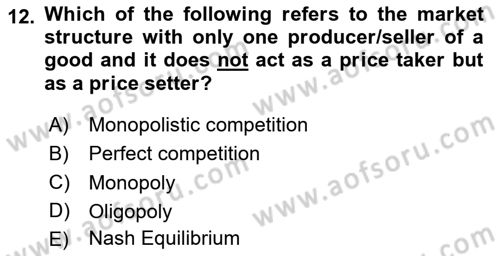 Introduction to Economics 1 Dersi 2024 - 2025 Yılı (Final) Dönem Sonu Sınav Soruları 12. Soru