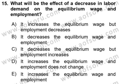 Introduction to Economics 1 Dersi 2024 - 2025 Yılı (Final) Dönem Sonu Sınav Soruları 15. Soru