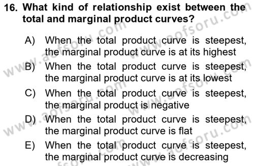 Introduction to Economics 1 Dersi 2024 - 2025 Yılı (Final) Dönem Sonu Sınav Soruları 16. Soru