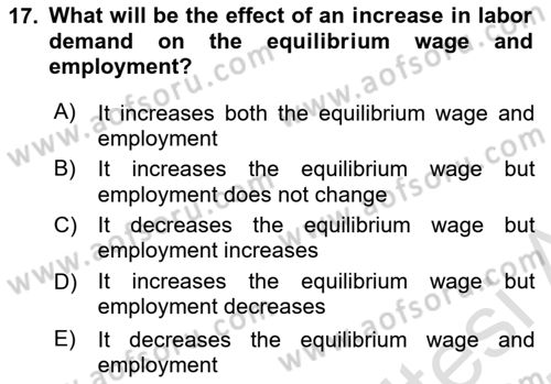 Introduction to Economics 1 Dersi 2024 - 2025 Yılı (Final) Dönem Sonu Sınav Soruları 17. Soru