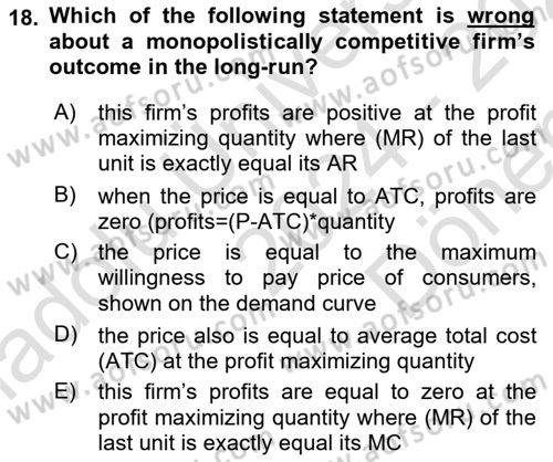 Introduction to Economics 1 Dersi 2024 - 2025 Yılı (Final) Dönem Sonu Sınav Soruları 18. Soru