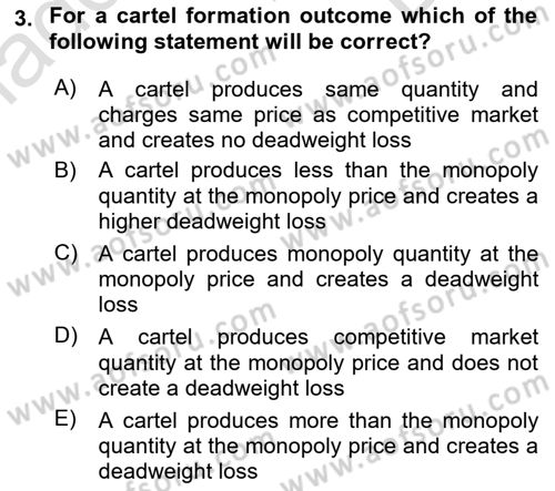 Introduction to Economics 1 Dersi 2024 - 2025 Yılı (Final) Dönem Sonu Sınav Soruları 3. Soru