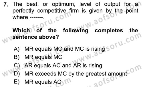 Introduction to Economics 1 Dersi 2024 - 2025 Yılı (Final) Dönem Sonu Sınav Soruları 7. Soru