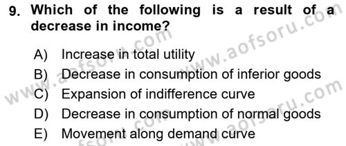 Introduction to Economics 1 Dersi 2024 - 2025 Yılı (Final) Dönem Sonu Sınav Soruları 9. Soru