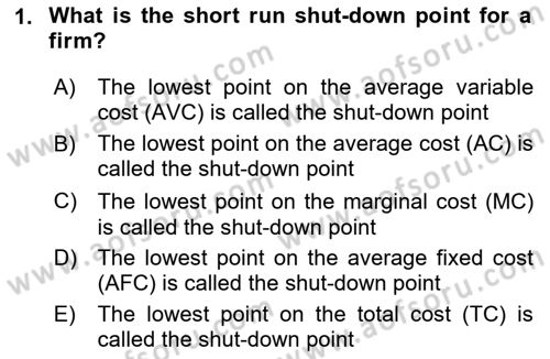 Introduction to Economics 1 Dersi 2024 - 2025 Yılı Yaz Okulu Sınav Soruları 1. Soru