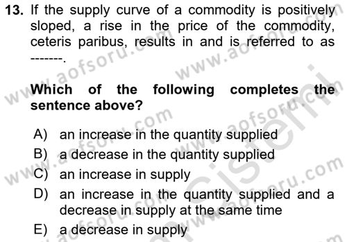 Introduction to Economics 1 Dersi 2024 - 2025 Yılı Yaz Okulu Sınav Soruları 13. Soru