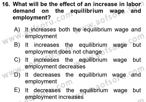 Introduction to Economics 1 Dersi 2024 - 2025 Yılı Yaz Okulu Sınav Soruları 16. Soru