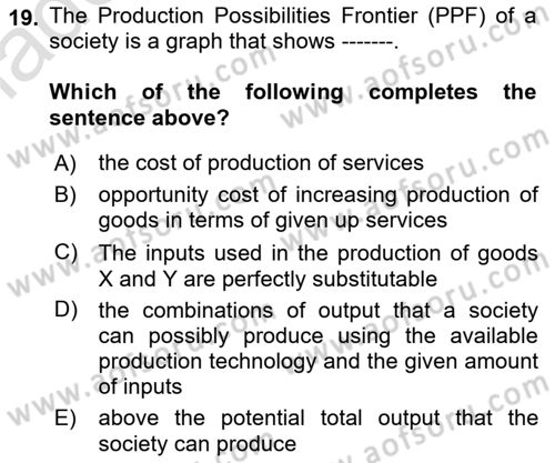 Introduction to Economics 1 Dersi 2024 - 2025 Yılı Yaz Okulu Sınav Soruları 19. Soru