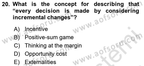 Introduction to Economics 1 Dersi Yaz Okulu Sınavı Deneme Sınav Soruları 20. Soru