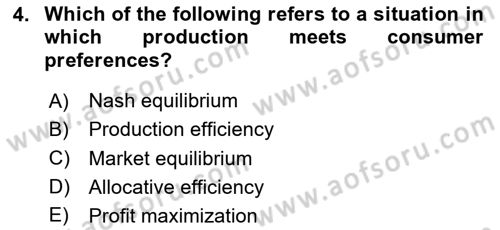 Introduction to Economics 1 Dersi 2024 - 2025 Yılı Yaz Okulu Sınav Soruları 4. Soru