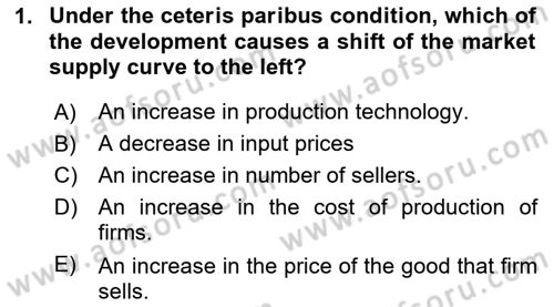 Introduction to Economics 1 Dersi 2025 - 2026 Yılı (Vize) Ara Sınav Soruları 1. Soru