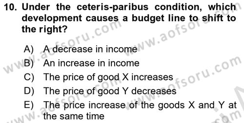 Introduction to Economics 1 Dersi 2025 - 2026 Yılı (Vize) Ara Sınav Soruları 10. Soru