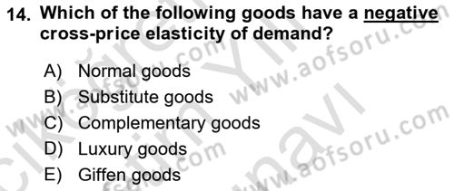 Introduction to Economics 1 Dersi 2025 - 2026 Yılı (Vize) Ara Sınav Soruları 14. Soru