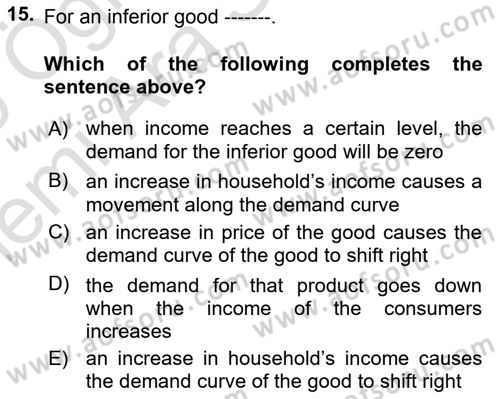 Introduction to Economics 1 Dersi 2025 - 2026 Yılı (Vize) Ara Sınav Soruları 15. Soru