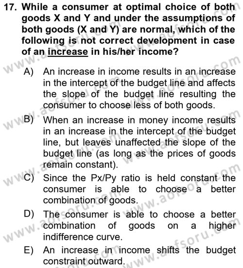 Introduction to Economics 1 Dersi 2025 - 2026 Yılı (Vize) Ara Sınav Soruları 17. Soru