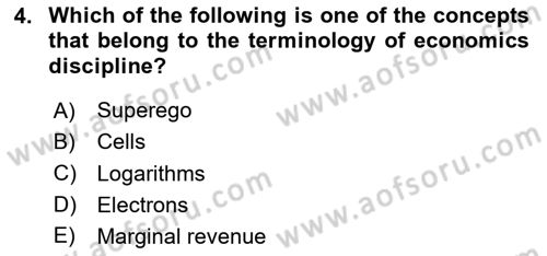 Introduction to Economics 1 Dersi 2025 - 2026 Yılı (Vize) Ara Sınav Soruları 4. Soru