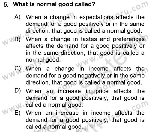 Introduction to Economics 1 Dersi 2025 - 2026 Yılı (Vize) Ara Sınav Soruları 5. Soru