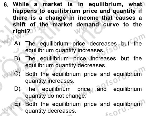 Introduction to Economics 1 Dersi 2025 - 2026 Yılı (Vize) Ara Sınav Soruları 6. Soru