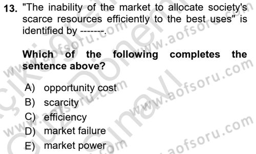 Introduction to Economics 1 Dersi 2025 - 2026 Yılı (Final) Dönem Sonu Sınav Soruları 13. Soru
