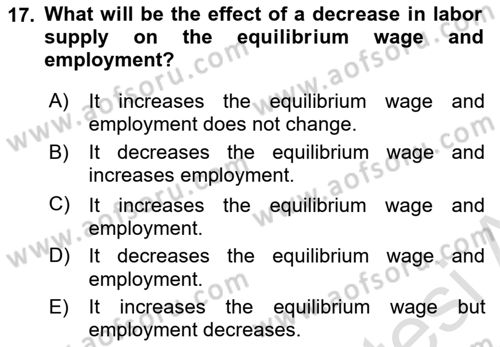 Introduction to Economics 1 Dersi 2025 - 2026 Yılı (Final) Dönem Sonu Sınav Soruları 17. Soru