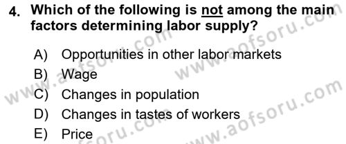 Introduction to Economics 1 Dersi 2025 - 2026 Yılı (Final) Dönem Sonu Sınav Soruları 4. Soru