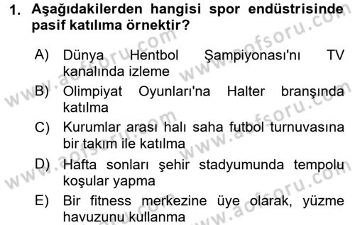 Spor Ekonomisi Dersi 2016 - 2017 Yılı (Vize) Ara Sınavı 1. Soru