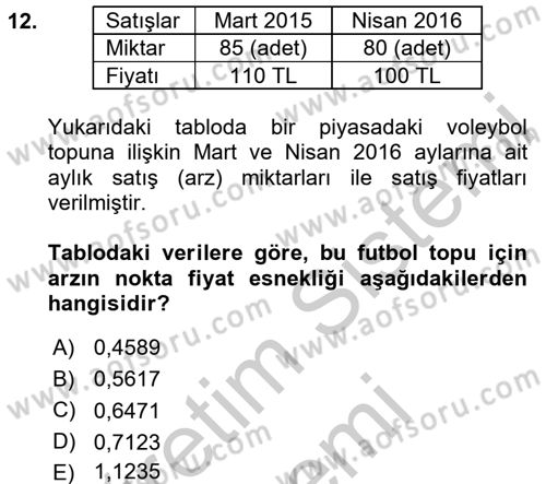 Spor Ekonomisi Dersi 2016 - 2017 Yılı (Vize) Ara Sınavı 12. Soru