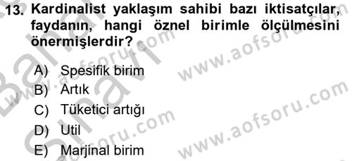 Spor Ekonomisi Dersi 2016 - 2017 Yılı (Vize) Ara Sınavı 13. Soru