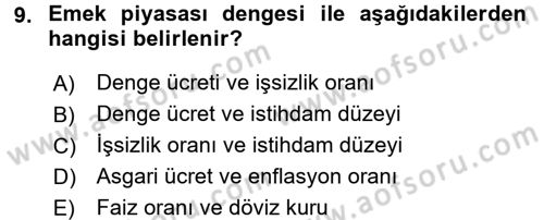 Spor Ekonomisi Dersi 2016 - 2017 Yılı (Final) Dönem Sonu Sınavı 9. Soru