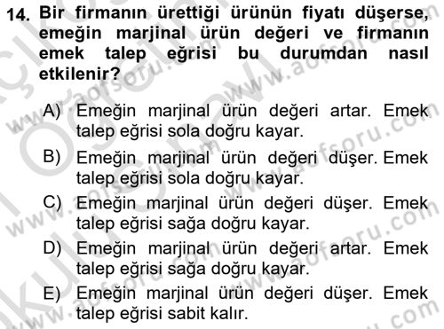 Spor Ekonomisi Dersi Yaz Okulu Sınavı Deneme Sınav Soruları 14. Soru