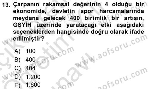 Spor Ekonomisi Dersi 2021 - 2022 Yılı Yaz Okulu Sınav Soruları 13. Soru