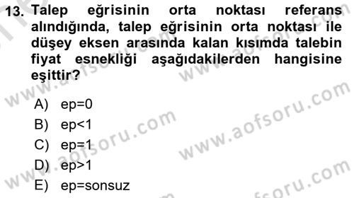 Spor Ekonomisi Dersi 2023 - 2024 Yılı (Vize) Ara Sınavı 13. Soru