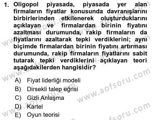 Spor Ekonomisi Dersi 2023 - 2024 Yılı (Final) Dönem Sonu Sınavı 1. Soru