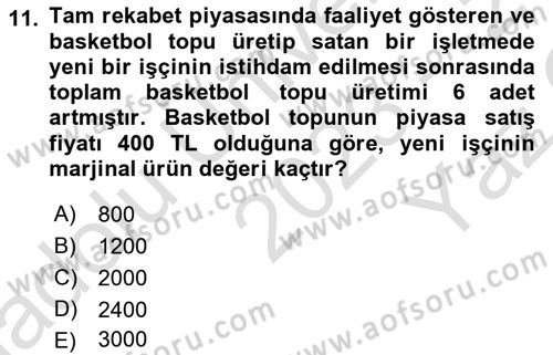 Spor Ekonomisi Dersi 2023 - 2024 Yılı Yaz Okulu Sınav Soruları 11. Soru
