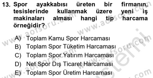 Spor Ekonomisi Dersi 2023 - 2024 Yılı Yaz Okulu Sınav Soruları 13. Soru