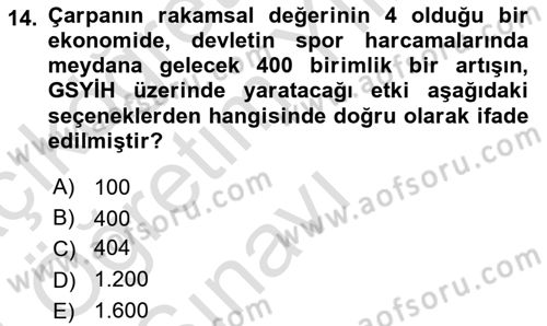 Spor Ekonomisi Dersi 2023 - 2024 Yılı Yaz Okulu Sınav Soruları 14. Soru