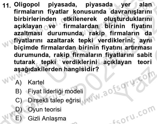 Spor Ekonomisi Dersi Yaz Okulu Sınavı Deneme Sınav Soruları 11. Soru
