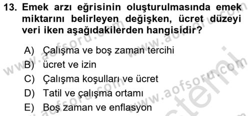 Spor Ekonomisi Dersi 2024 - 2025 Yılı Yaz Okulu Sınav Soruları 13. Soru