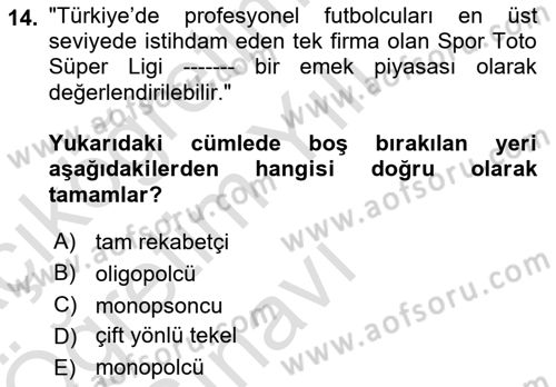Spor Ekonomisi Dersi 2024 - 2025 Yılı Yaz Okulu Sınav Soruları 14. Soru