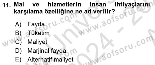 Genel Ekonomi Dersi 2024 - 2025 Yılı (Vize) Ara Sınav Soruları 11. Soru